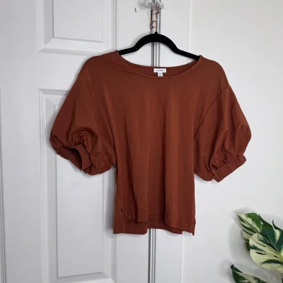 Cuyana Rust Puff Sleeve Tee - Picture 3 of 6